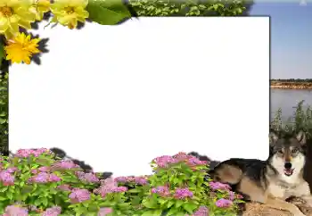 Foto Effekt från kategori Olika № 159462