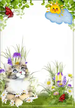 Foto Effekt från kategori Olika № 160659