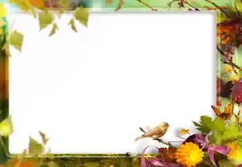 Foto Effekt från kategori Olika № 160773