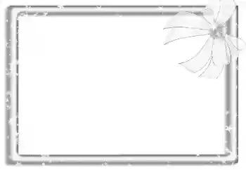 Foto Effekt från kategori Olika № 160788