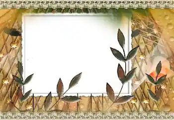 Foto Effekt från kategori Olika № 160810