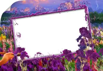 Foto Effekt från kategori Olika № 160843