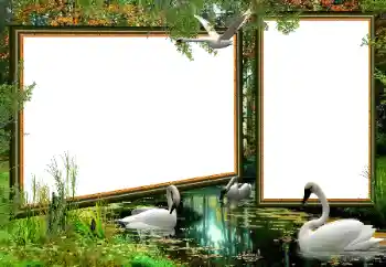 Foto Effekt från kategori Olika № 160922