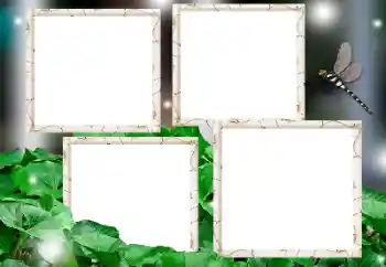 Foto Effekt från kategori Olika № 161947