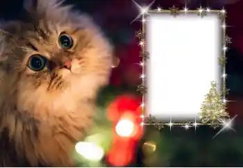 Foto Effekt från kategori Olika № 162030