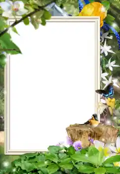 Foto Effekt från kategori Olika № 162044