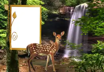 Foto Effekt från kategori Olika № 163220