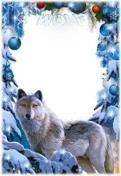 Inskriptionen på ramen: Wolf Inskriptionen på ramen: Wolf