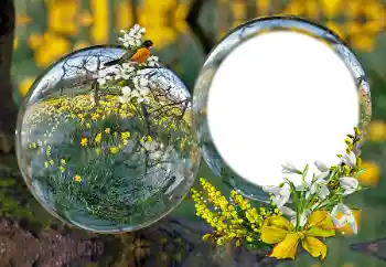 Foto Effekt från kategori Olika № 163601 Foto Effekt från kategori Olika № 163601