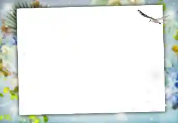 Foto Effekt från kategori Olika № 164634 Foto Effekt från kategori Olika № 164634