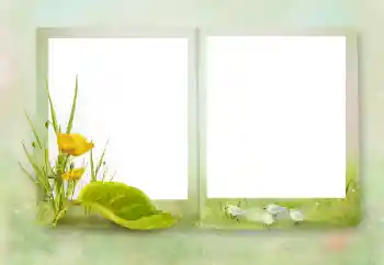 Foto Effekt från kategori Olika № 164751 Foto Effekt från kategori Olika № 164751