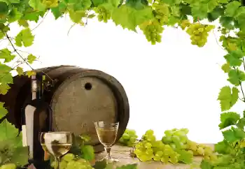 Foto Effekt från kategori Olika № 164780 Foto Effekt från kategori Olika № 164780