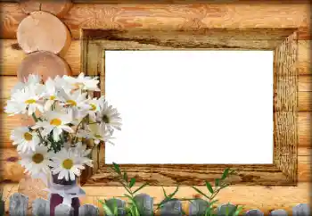 Foto Effekt från kategori Olika № 164792 Foto Effekt från kategori Olika № 164792