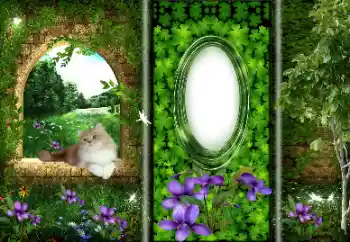 Foto Effekt från kategori Olika № 166033 Foto Effekt från kategori Olika № 166033