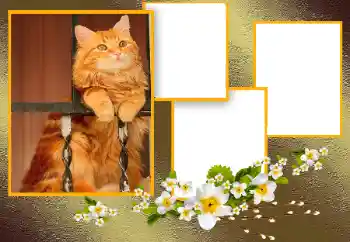 Foto Effekt från kategori Olika № 166093 Foto Effekt från kategori Olika № 166093