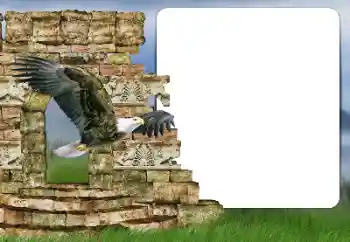 Foto Effekt från kategori Olika № 166357 Foto Effekt från kategori Olika № 166357