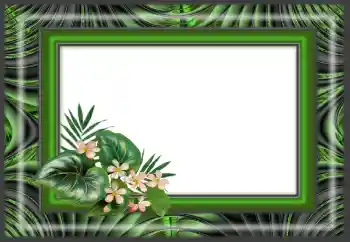 Foto Effekt från kategori Olika № 166640 Foto Effekt från kategori Olika № 166640