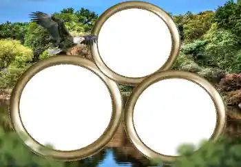 Foto Effekt från kategori Olika № 167860 Foto Effekt från kategori Olika № 167860