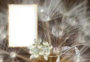 Foto Effekt från kategori Olika № 169101 Foto Effekt från kategori Olika № 169101