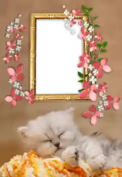 Foto Effekt från kategori Olika № 169232 Foto Effekt från kategori Olika № 169232