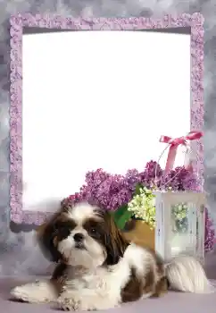 Foto Effekt från kategori Olika № 169260 Foto Effekt från kategori Olika № 169260