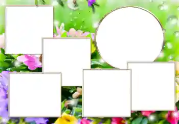 Foto Effekt från kategori Olika № 169279 Foto Effekt från kategori Olika № 169279