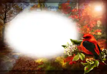 Foto Effekt från kategori Olika № 170400 Foto Effekt från kategori Olika № 170400