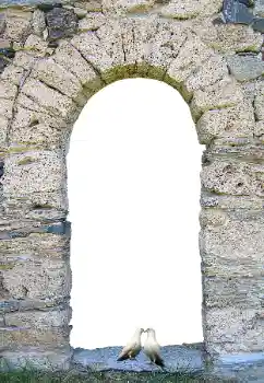 Foto Effekt från kategori Olika № 171681 Foto Effekt från kategori Olika № 171681