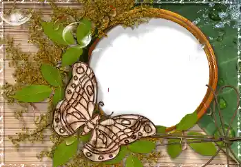 Foto Effekt från kategori Olika № 17189 Foto Effekt från kategori Olika № 17189