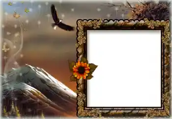 Foto Effekt från kategori Olika № 172844 Foto Effekt från kategori Olika № 172844