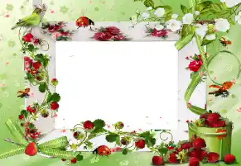 Foto Effekt från kategori Olika № 172917 Foto Effekt från kategori Olika № 172917