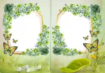 Foto Effekt från kategori Olika № 172968 Foto Effekt från kategori Olika № 172968