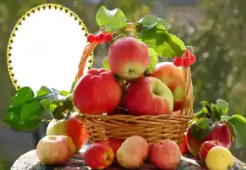 Foto Effekt från kategori Olika № 173030 Foto Effekt från kategori Olika № 173030