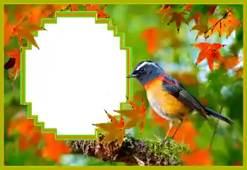 Foto Effekt från kategori Olika № 173036 Foto Effekt från kategori Olika № 173036