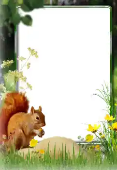 Foto Effekt från kategori Olika № 174270 Foto Effekt från kategori Olika № 174270