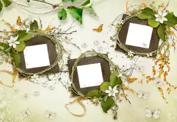 Foto Effekt från kategori Olika № 175577 Foto Effekt från kategori Olika № 175577