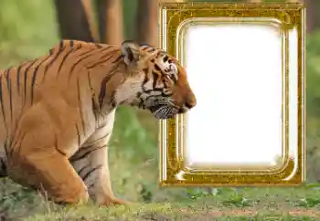 Foto Effekt från kategori Olika № 176575 Foto Effekt från kategori Olika № 176575