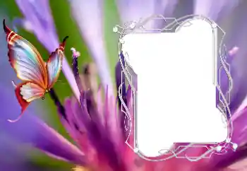 Foto Effekt från kategori Olika № 176776 Foto Effekt från kategori Olika № 176776