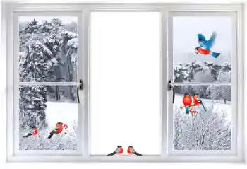 Foto Effekt från kategori Olika № 177876 Foto Effekt från kategori Olika № 177876