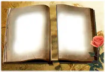 Foto Effekt från kategori Olika № 180729