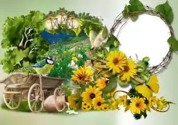 Foto Effekt från kategori Olika № 180773 Foto Effekt från kategori Olika № 180773