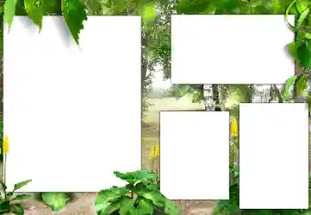 Foto Effekt från kategori Olika № 182015 Foto Effekt från kategori Olika № 182015