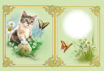 Foto Effekt från kategori Olika № 182126 Foto Effekt från kategori Olika № 182126