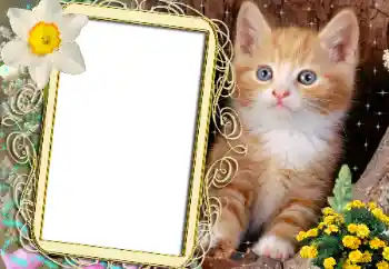 Foto Effekt från kategori Olika № 183482 Foto Effekt från kategori Olika № 183482