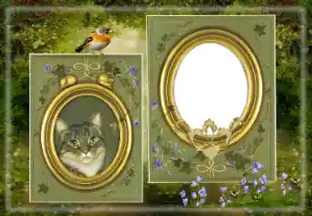 Foto Effekt från kategori Olika № 183530