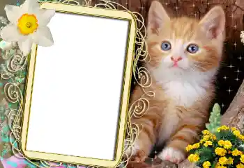 Foto Effekt från kategori Olika № 1842