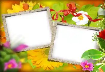 Foto Effekt från kategori Olika № 184580