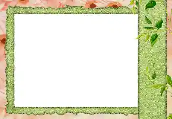 Foto Effekt från kategori Olika № 184589