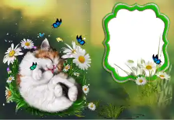 Foto Effekt från kategori Olika № 184694 Foto Effekt från kategori Olika № 184694