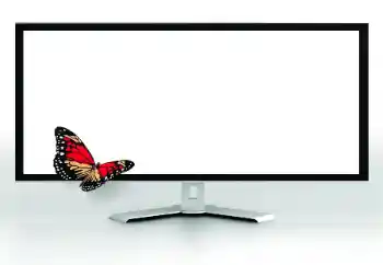 Foto Effekt från kategori Olika № 185816